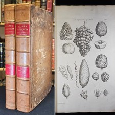 1768 FOLIO The Gardeners Dictionary By Philip Miller 8th Ed ENG PLATES Scarce