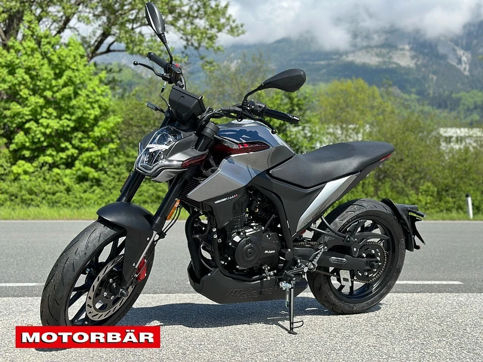 Malaguti Drakon 125 E5 Grey SpiritoNETTO € 2.499, - Roller Motorrad - Bild 4 von 4