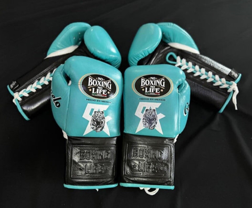 カネロ　NO BOXING NO LIFE グローブ　10oz カネロも愛用『NO BOXING NO LIFE』のグローブを買いました