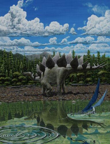 art print STEGOSAURUS STENOPS •dinosaur 18X24 - Picture 1 of 1