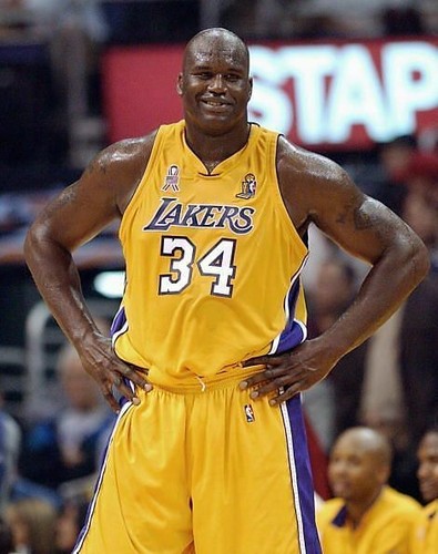 Shaquille O'Neal #8 2004 Hoops Hot Prospects card