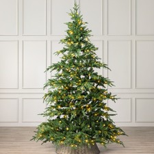 Image of Christow Pre Lit Christmas Tree Nordmann Fir Colour Switch & Timer 6ft 7ft 8ft