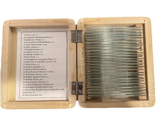 AmScope 25 Prepared Biology Microscope Slides Dog Skeletal Onion Epidermis Pine