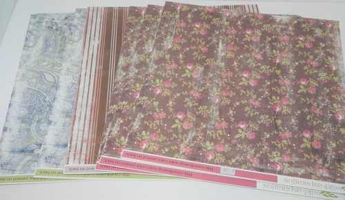LOT WILD ASPARAGUS MY LIFE FRIENDS DARLING CHERISH MY MINDS EYE 12X12 20 SHEETS - Picture 5 of 5