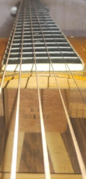 Picture 19 of 19