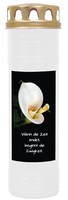 Grabkerze Weiß 7-Tage Brenner 170H Grablicht Grableuchte Grablampe Grab Blumen