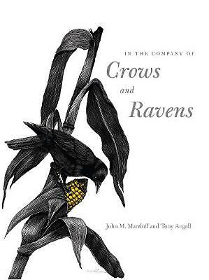 In the Company of Crows and Ravens by John M. Marzluff (Paperback Book) - Image 4