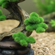 Resin Foliage Tree Decoration Marine and Freshwater Safe for Terrarium