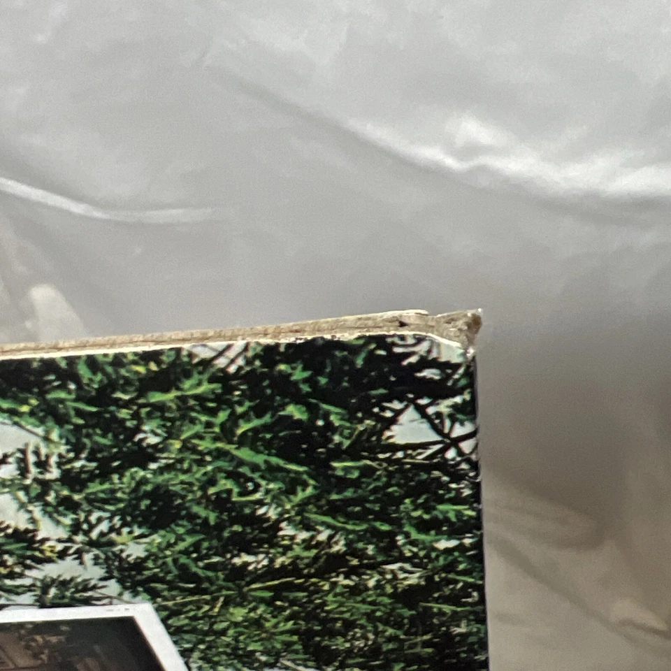 E Power Biggs Bach The Four Great Toccatas And Fugues Quadraphonic LP Record Foto 4 de 4