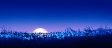 Landscape gracile art illustration japan night Custom Gaming Mat Desk