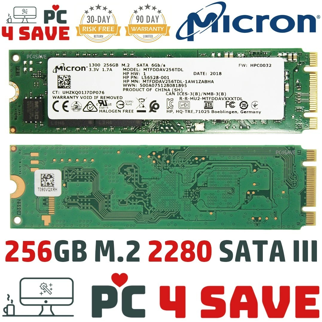 bekæmpe bestyrelse fortjener 256GB SSD - MICRON 1300 M.2 2280 SATA III 6GB/s MTFDDAV256TDL HP L56528-001  M | eBay