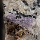 Bild 3 von 9