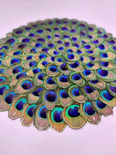 FEATHER PLACEMAT 15" x 15" Circle for Thanksgiving Dinner Home Decor Kitchen - Picture 13 of 21