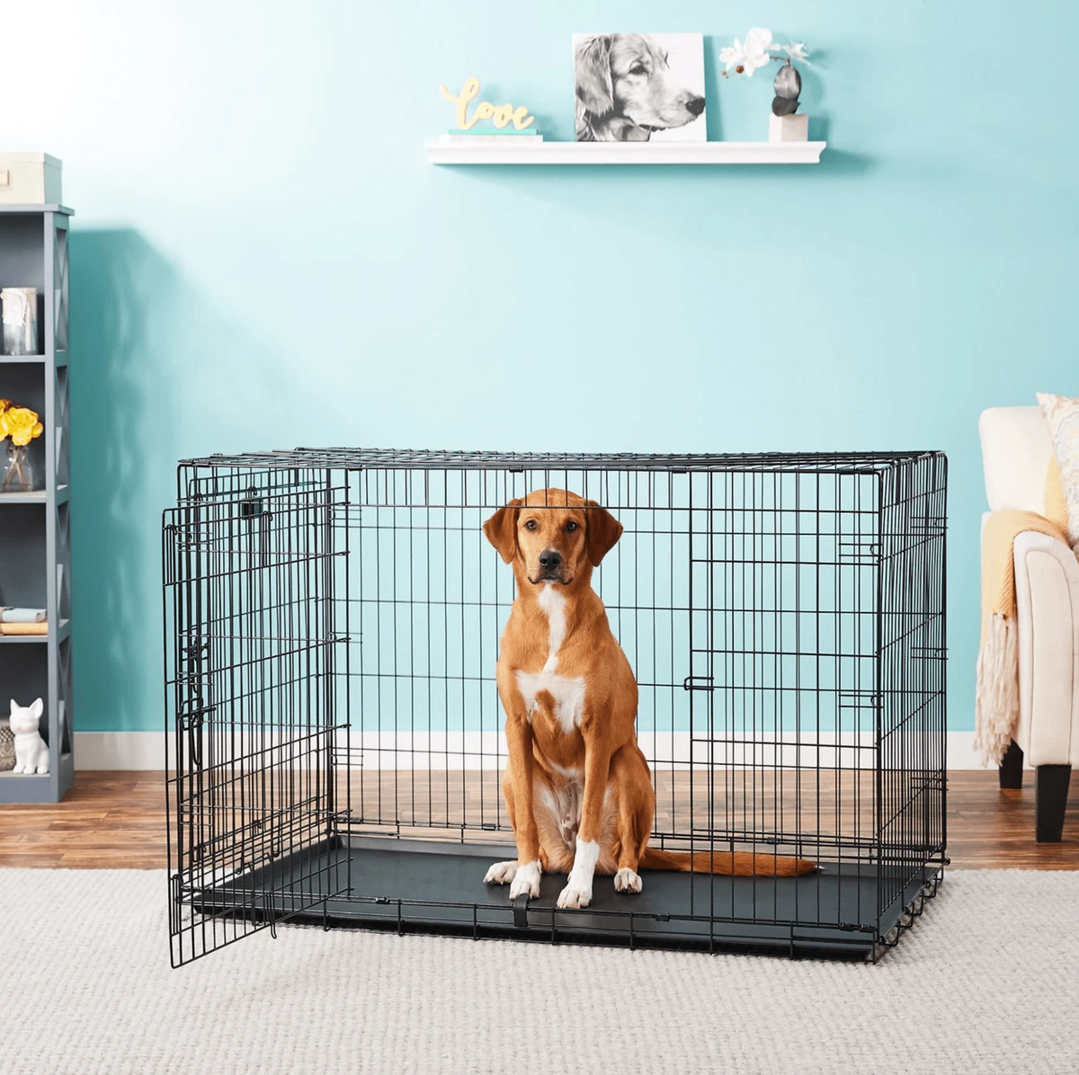 Kennel xxl best sale