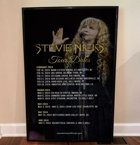 Stevie Nicks 2024 Tour Poster