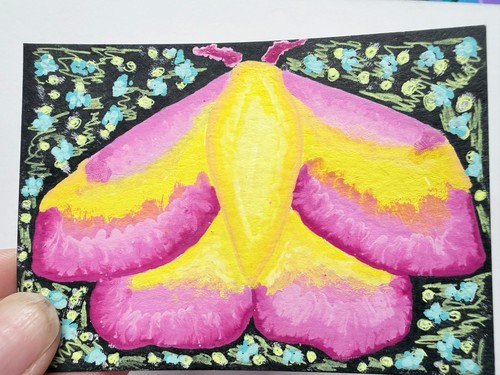 ACEO Original Painting "Caught in the Flowers" Vibrant Rosy Maple Moth Fine Art