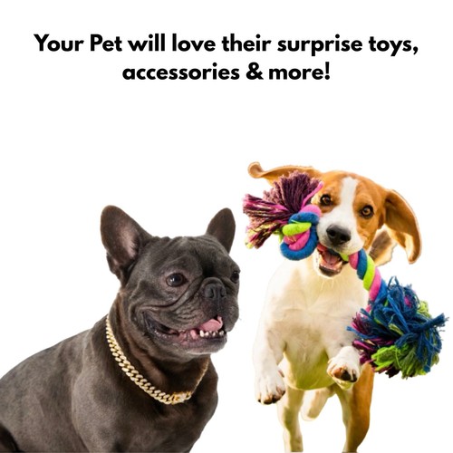 Mixed Pet Bundle Box – Dog & Cat Toys, Grooming & Accessories – $30+ Value - Picture 6 of 6