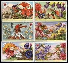 1951  Figurine Lavazza Serie n° 043 43 Fiori Alpini