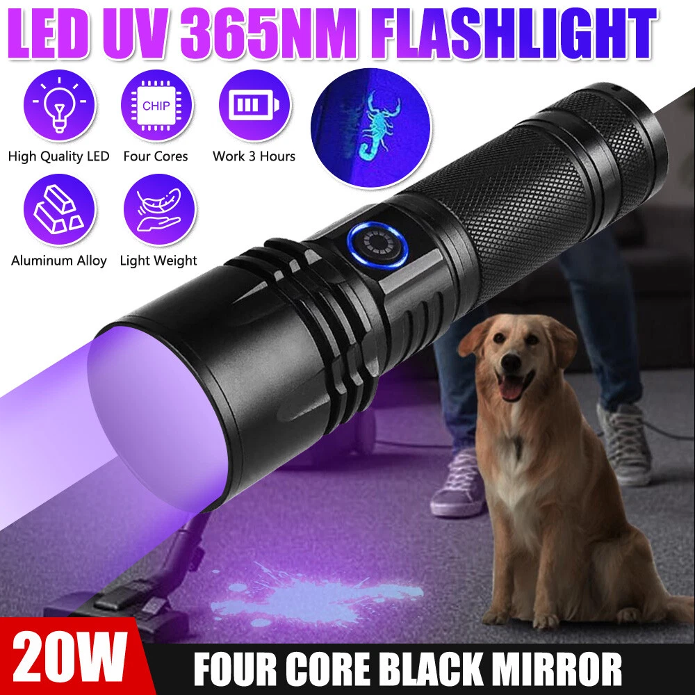 UV FlashLight