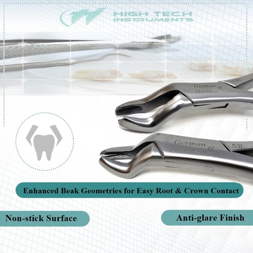 Dental Extracting Forceps 53L & 53R Surgical Tooth Extraction Tools Germen Steel - Picture 2 of 3