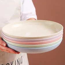 Unbreakable Cereal Dinner Plate, 9 Inch Wheat Straw Deep Reusable Plastic, Li...