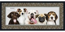 Panoramic Ornate Silver Picture Frame - UV Acrylic, Backing, Hanging Hardware