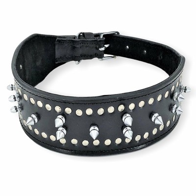 petco spiked collar