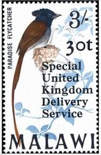 African Paradise Flycatcher Bird Mint NH Malawi Overprint Stamp Special UK Deliv