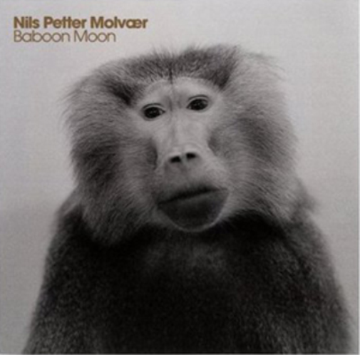 Nils Petter Molvær Baboon Moon (CD) Album
