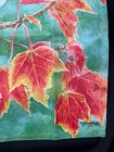 Bild 7 von 7