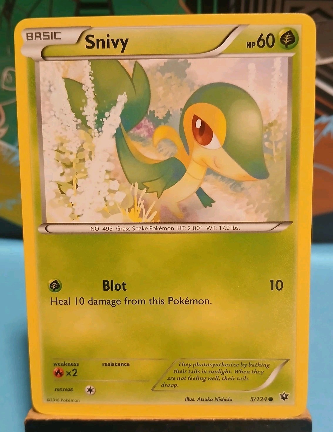 Snivy 5/124 Fates Collide Regular Non Holo Mint Condition Pokemon 2016