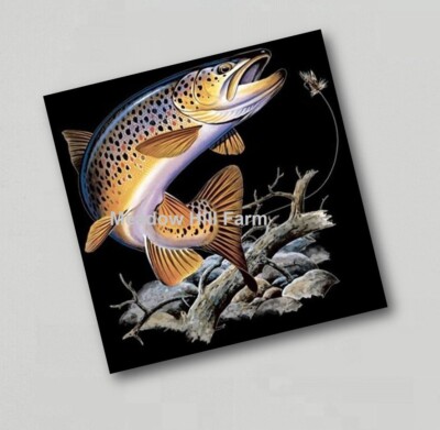 Kühlschrankmagnet Bachforelle Fliegenfischen Spiel (1)