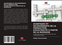 Felipe Vasconcellos | Avantages Et InconvÉNients De La Production...