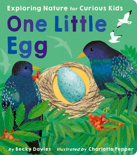 One Little Egg | Exploring Nature For Curious Kids | Becky Davies | Englisch-image