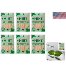600 Pcs Mint Flavor Toothpicks Bulk Natural Wood Flavored Cinnamon Toothpicks fo