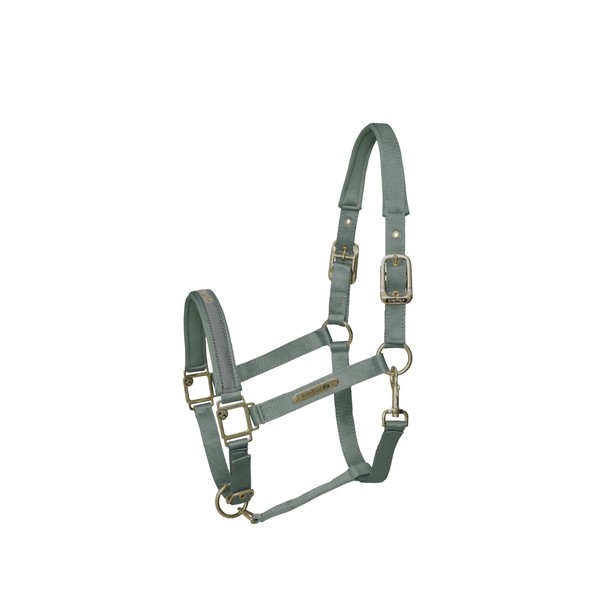 Kieffer Nylonhalfter Unterlegt - Stallhalfter Satin Shine, Mint - Warmblut Pferd-image