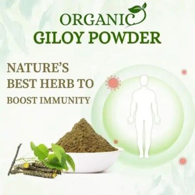 Herbal Ayurvedic Guduchi Giloy Powder ( Tinospora Cordifolia), 100% Pure Powder