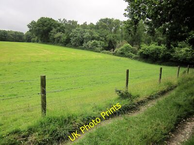 Foto 6x4 Little Shaftesbury Coppice Deanend der Waldrand gesehen über c2015