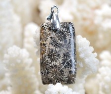 Corail fossile 21 carats -