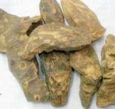 Chopchini ,Smilax china ,Sarsaparilla, China root 100 Original Herb -50gm