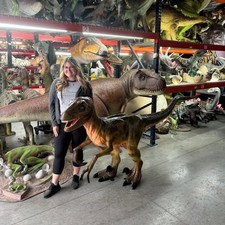 Dinosaur Deinonychus Prehistoric Theme Prop Life Size Resin Statue Display Decor