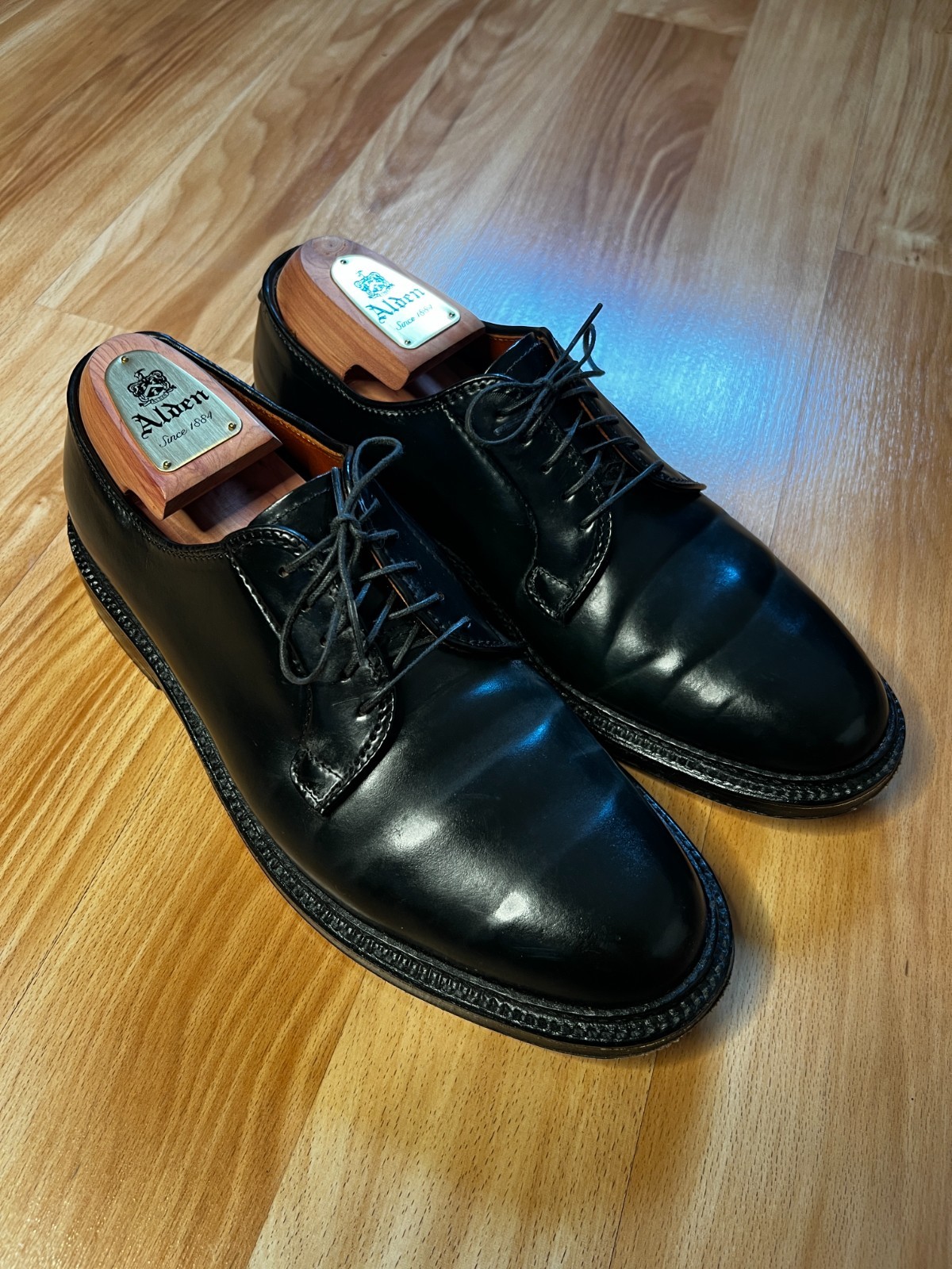 Alden 9901 Black Shell Cordovan Plain Toe Blucher | Alden Model