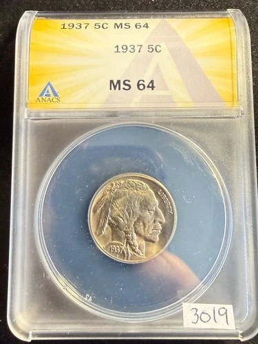 1937 P MS 64 MS64 Buffalo Nickel 5c Coin ANACS Graded Great Set Filler 3019