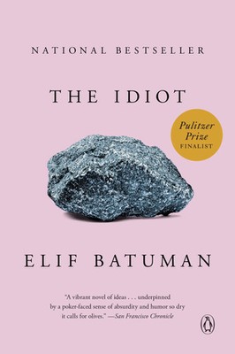 The Idiot | Elif Batuman | A Novel | Taschenbuch | 424 S. | Englisch | 2018