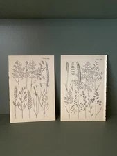 Original Antique botanical / floral lithographs bookplates  1900, 2x prints