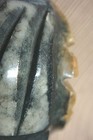 Bild 7 von 12