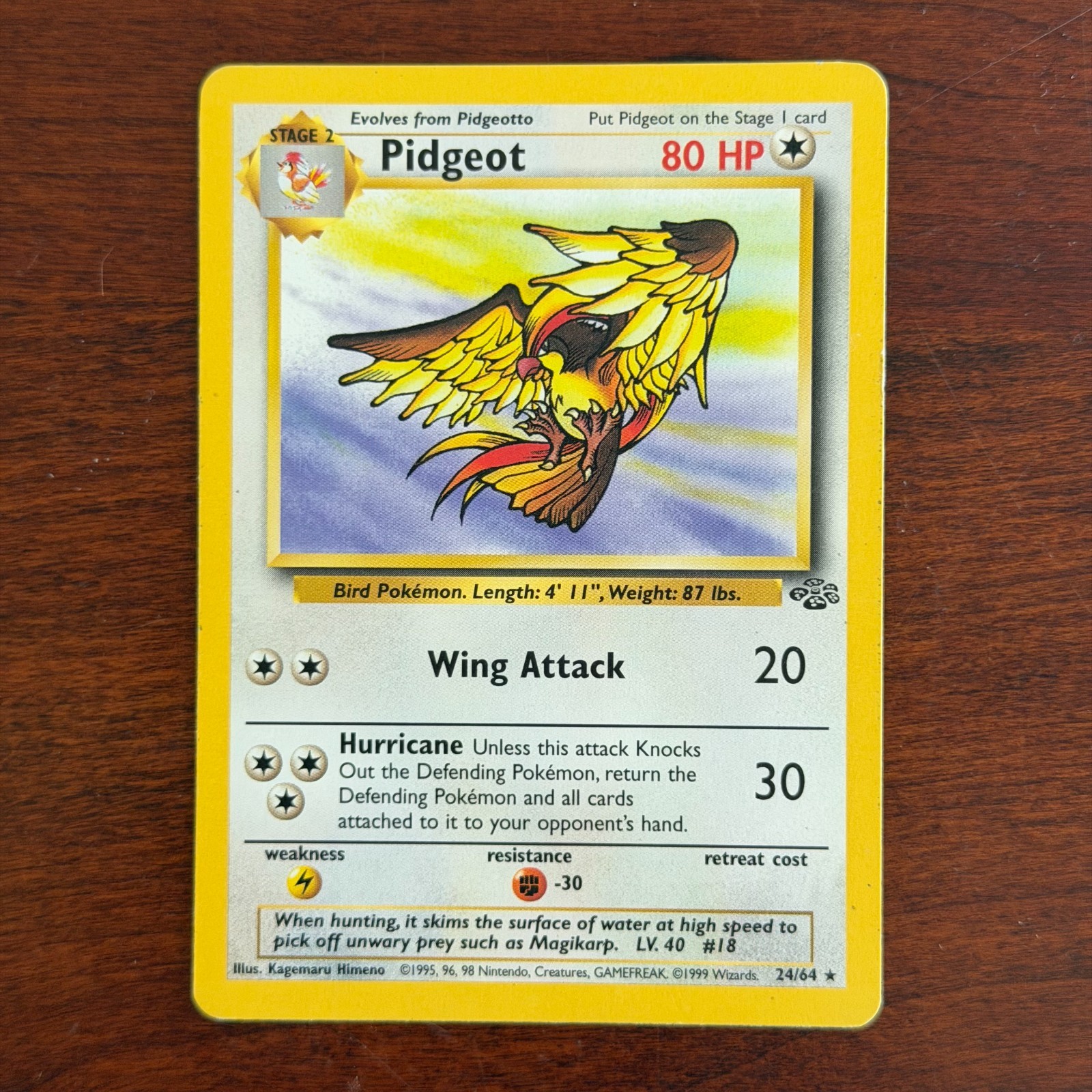Pidgeot 24/64 Non Holo Rare Jungle Pokemon Card