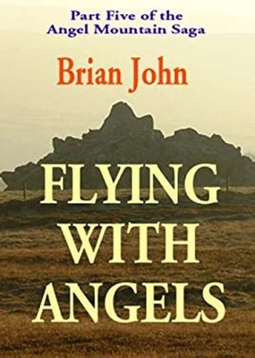 Fliegen Mit Engeln Taschenbuch Brian Stephen John