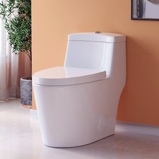 One Piece Toilet Powerful Dual Flush 1.28 GPF Elongated MAP 1000g Soft Close