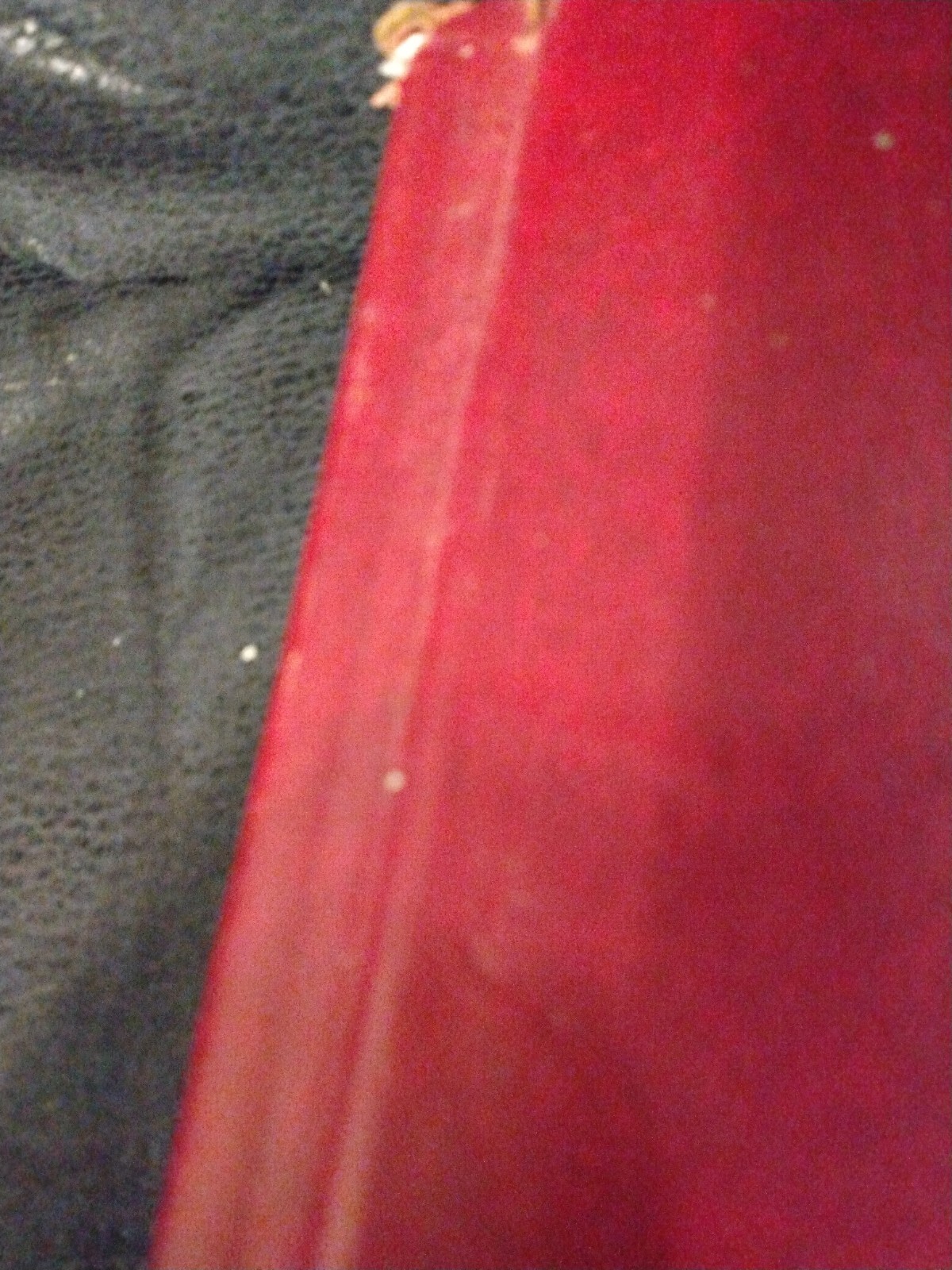 Foto 2 di 3
